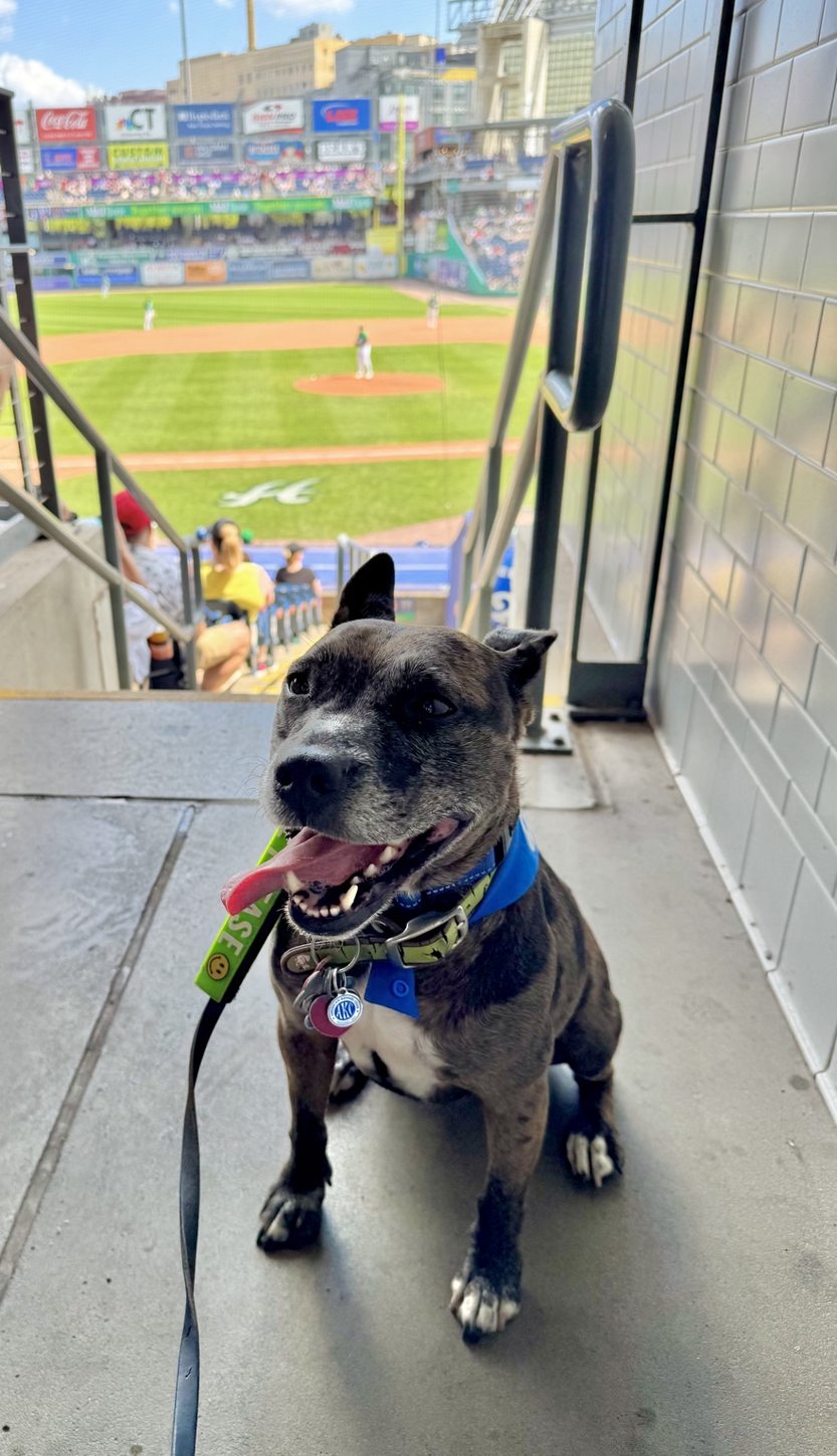 Oakley overlooking the baseball field