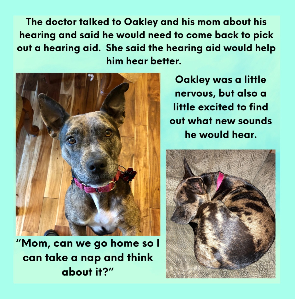 Book page: Oakley learns he will need a hearing aid