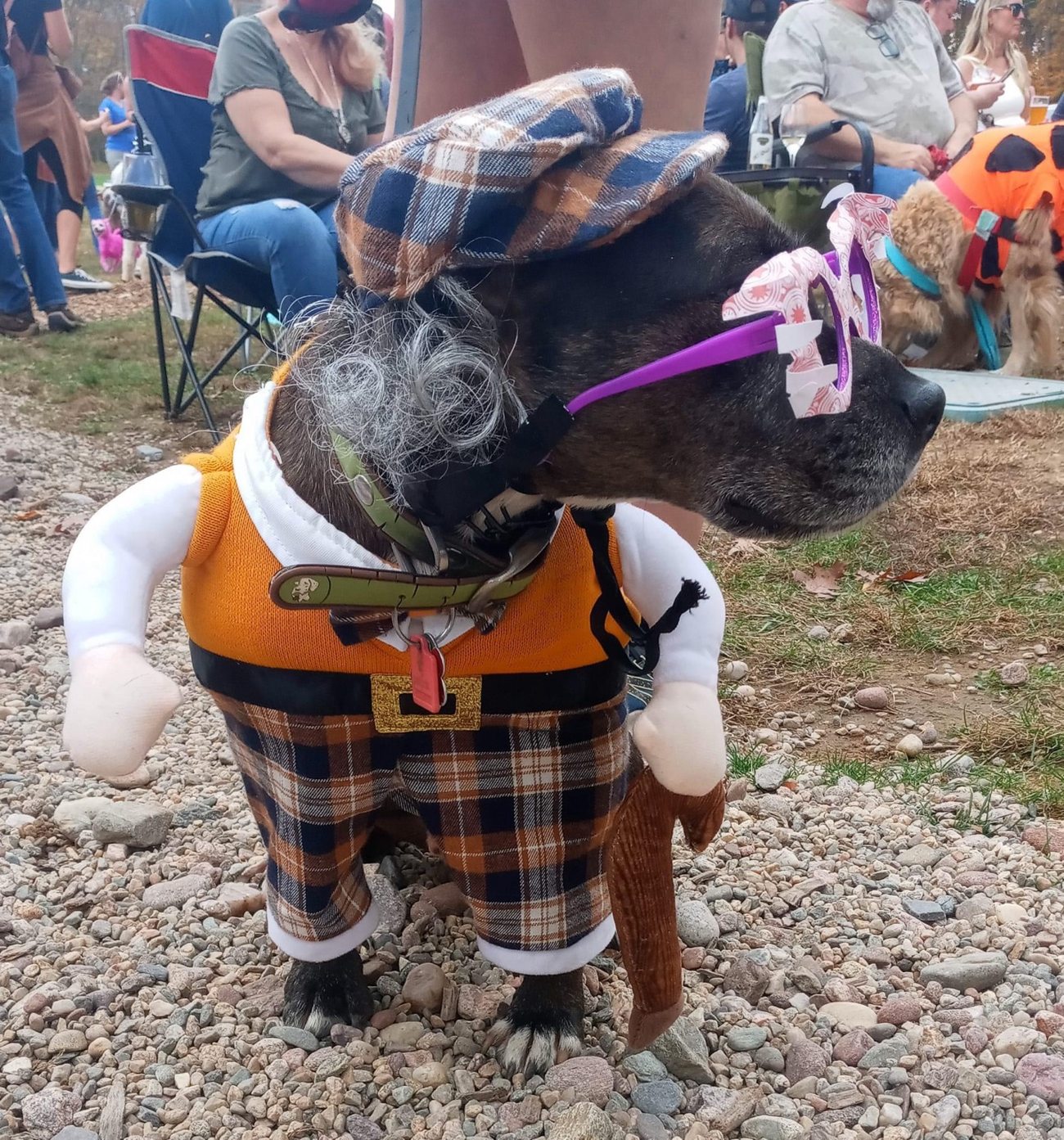 Oakley wearing an old-man outfit with a plaid hat, wig, glasses and walking cane