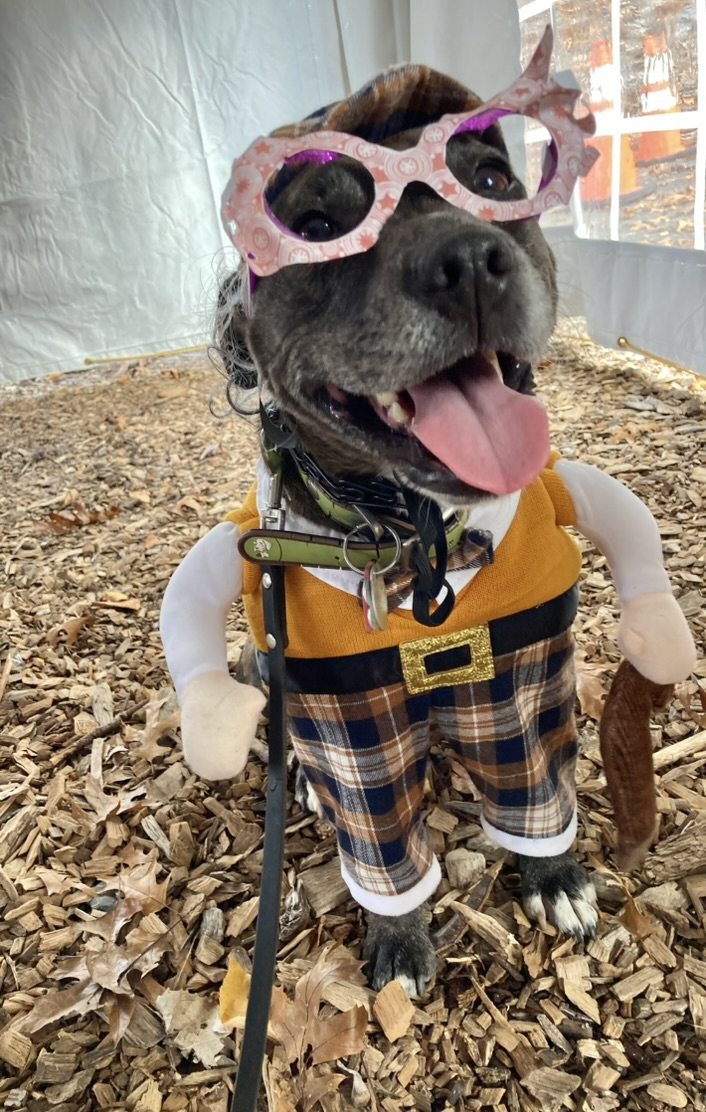 Oakley in a funny old-man costume with oversized purple glasses