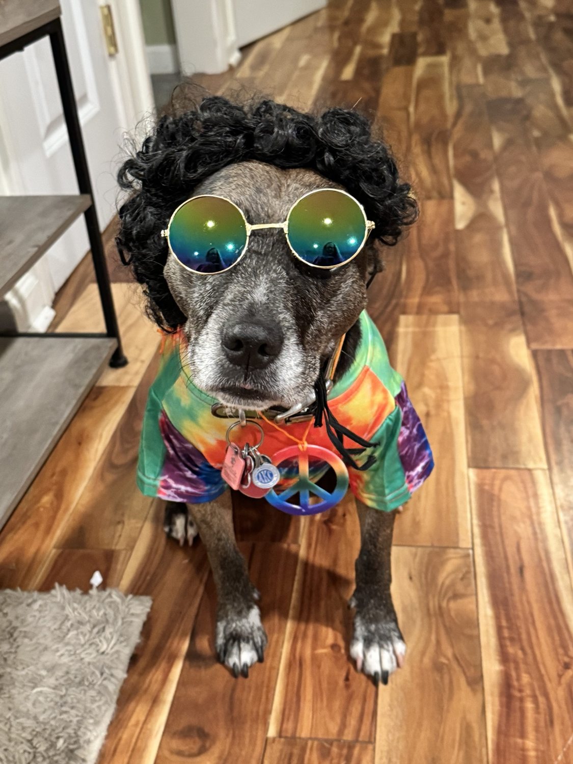 Oakley wearing a tie-dye hippie shirt, curly wig and round sunglasses