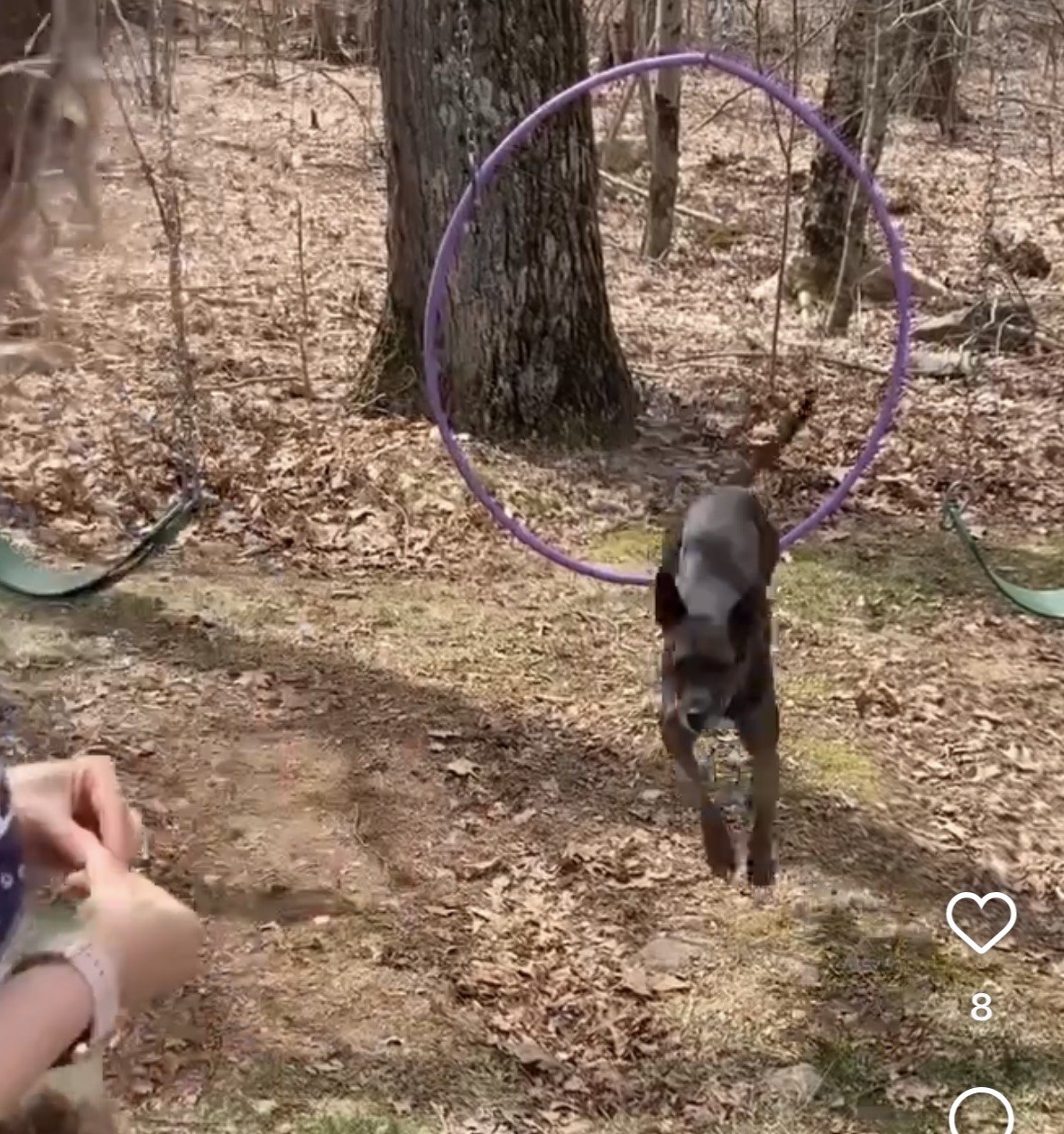 Preview for Oakley's Obstacle Course